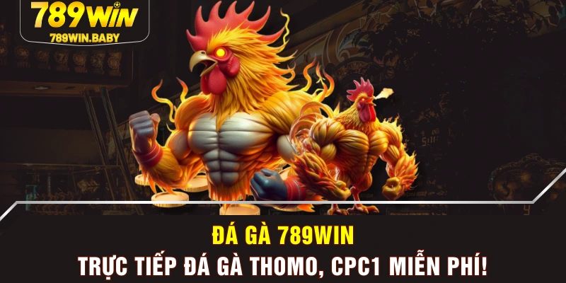 Đá Gà 789WIN - Trực Tiếp Đá Gà Thomo, CPC1 Miễn Phí!