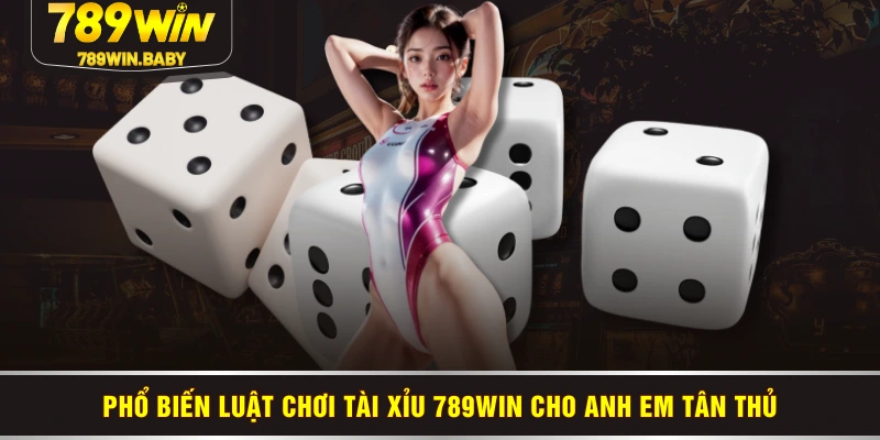 Phổ biến luật chơi tài xỉu 789WIN cho anh em tân thủ