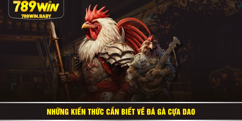 Những kiến thức cần biết về đá gà cựa dao