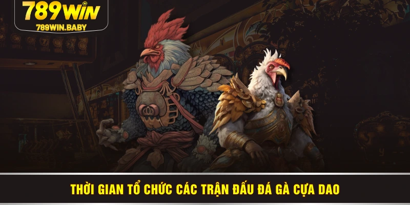 Thời gian tổ chức các trận đấu đá gà cựa dao